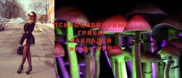 прущие крисы Протвино
