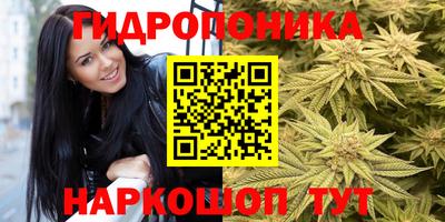 ECSTASY Лесосибирск