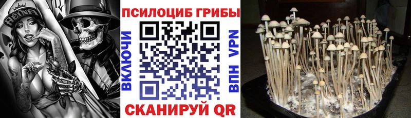 маркетплейс официальный сайт  Гуково  Галлюциногенные грибы прущие грибы  как найти закладки 